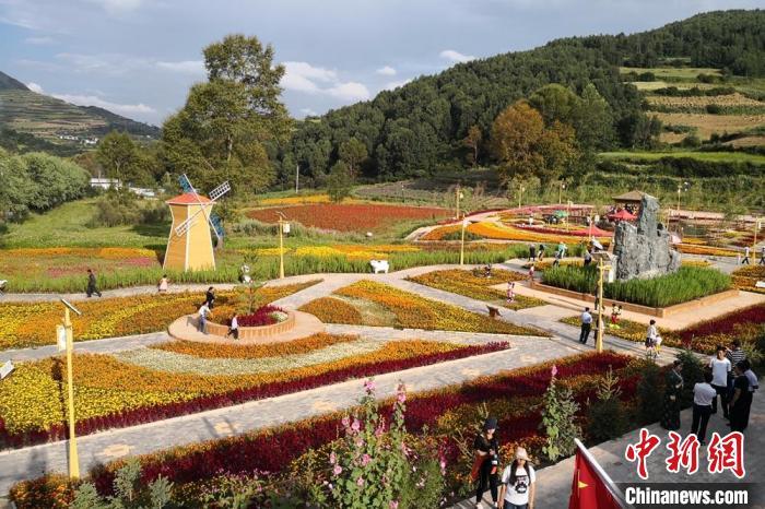 圖為航拍甘肅甘南臨潭縣八角鎮(zhèn)，花海吸引游人。(資料圖)高展 攝