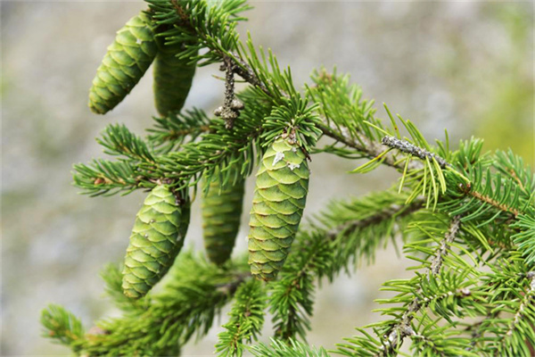 1710385840730664.jpg 19-2t.jpg