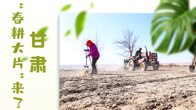【甘快看】海報(bào)|瞧！甘肅“春耕大片”來(lái)了