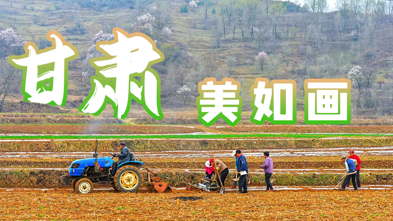 微海報|甘肅，美如畫