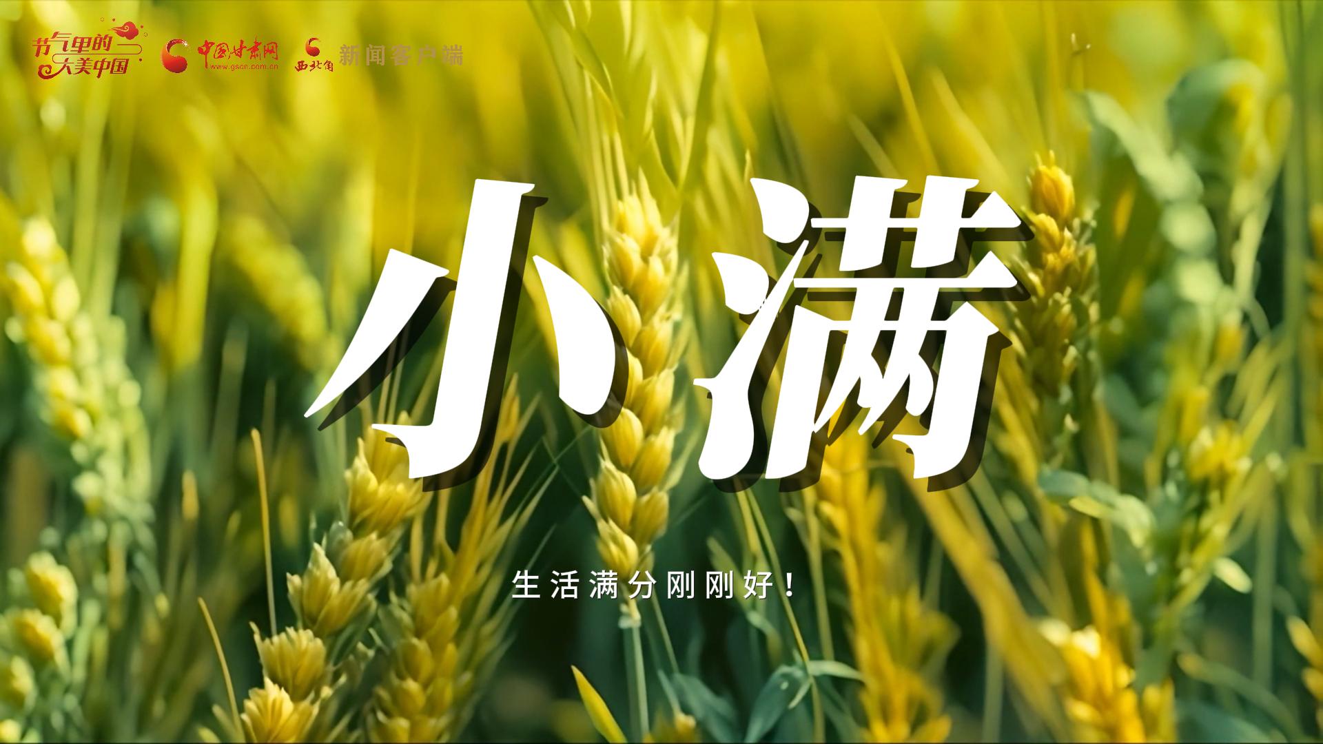 【節(jié)氣里的大美甘肅·小滿】生活滿分剛剛好！