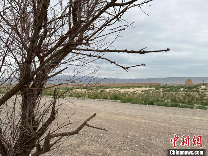 圖為位于長城墻體上的“馬面”或“敵臺”?！〈魑牟?攝