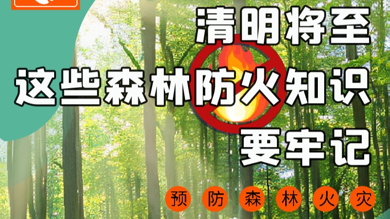 【甘快看】圖解|緊繃“安全弦”！清明，這些森林防火知識要牢記