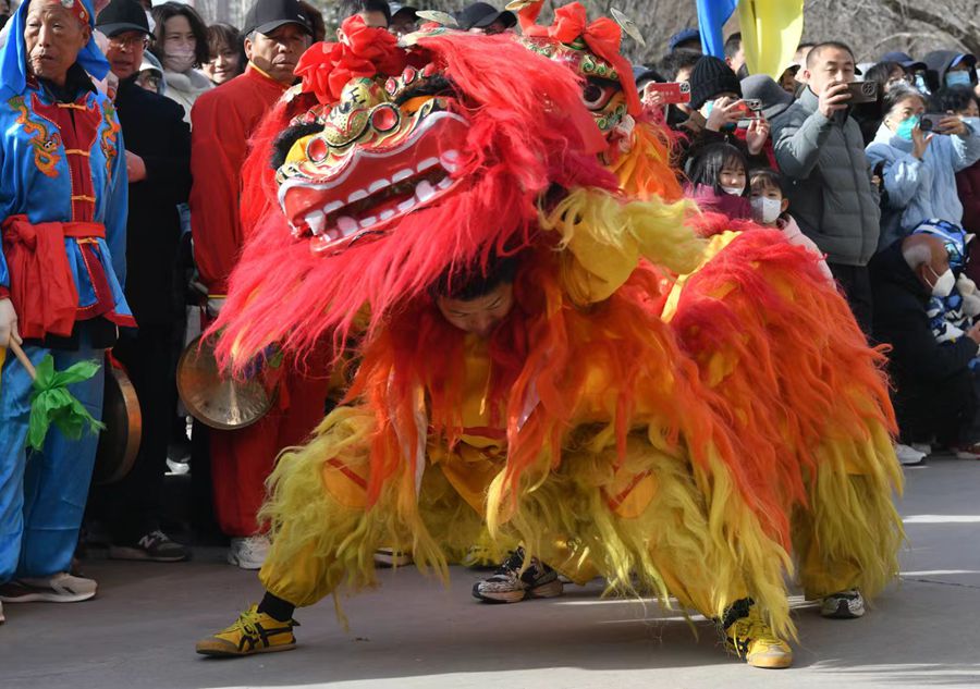 蘭州北獅表演現場。受訪者供圖