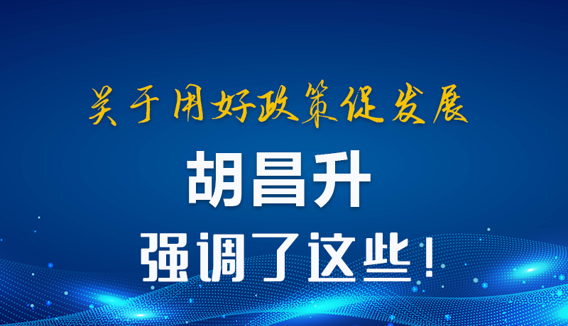 圖解|關(guān)于用好政策促發(fā)展 胡昌升強調(diào)了這些！